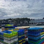 Du Clos Vorin * Honfleur